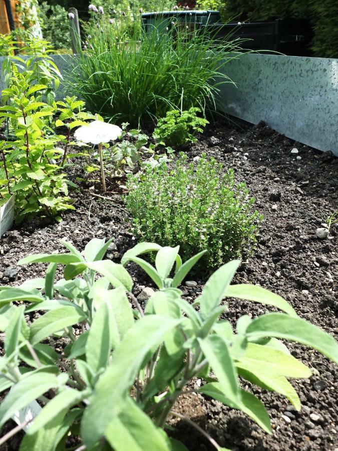 Ferienhaus In Der Schlipfing Mit Garten Altmünster Eksteriør bilde