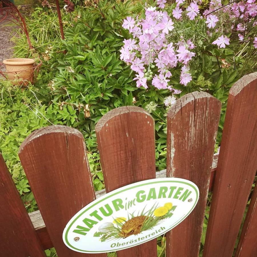 Ferienhaus In Der Schlipfing Mit Garten Altmünster Eksteriør bilde